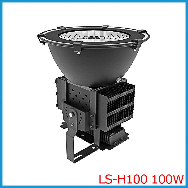 LS-H100