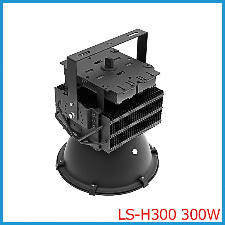 LS-H300